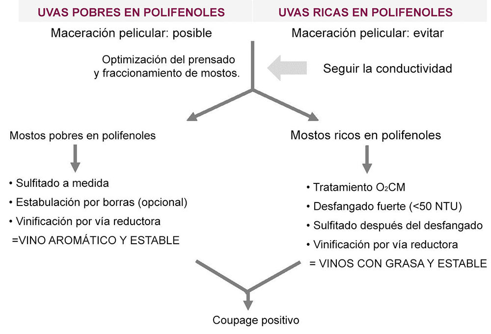 Figura 5 : Esquema de síntesis de la estrategia de gestión de la extracción de mostos (Fuente: Vivelys)