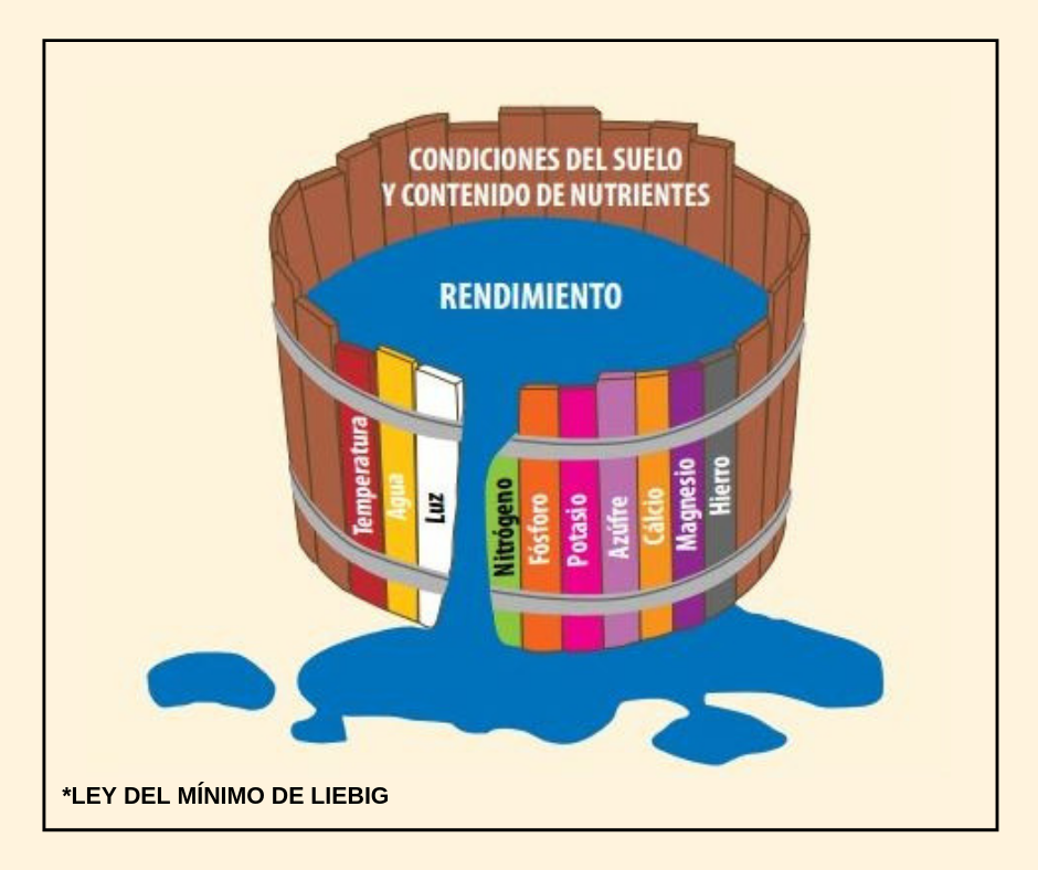 Ley del mínimo de Liebig