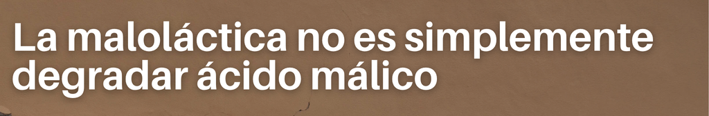 La maloláctica no es simplemente degradar ácido málico