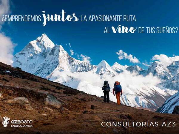 CONSULTORÍAZ3, ¿Emprendemos juntos la apasionante ruta al vino de tus sueños?