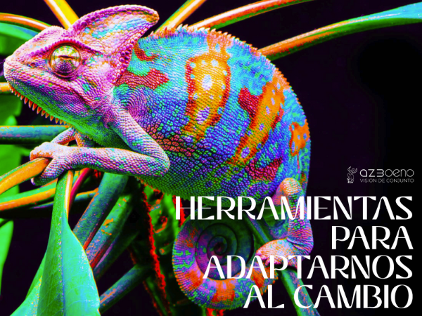 Herramientas para adaptarnos al cambio