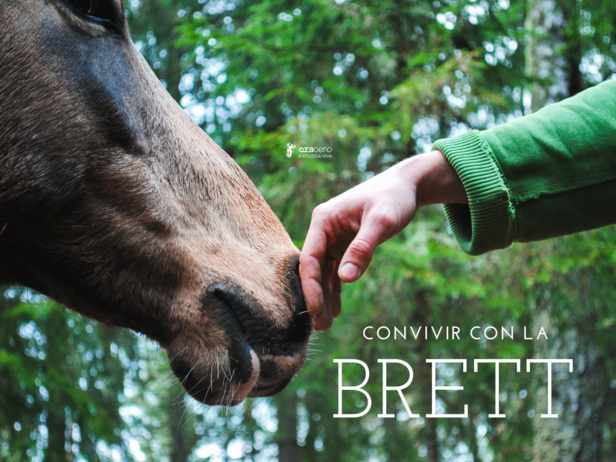 CONVIVIR CON LA BRETT