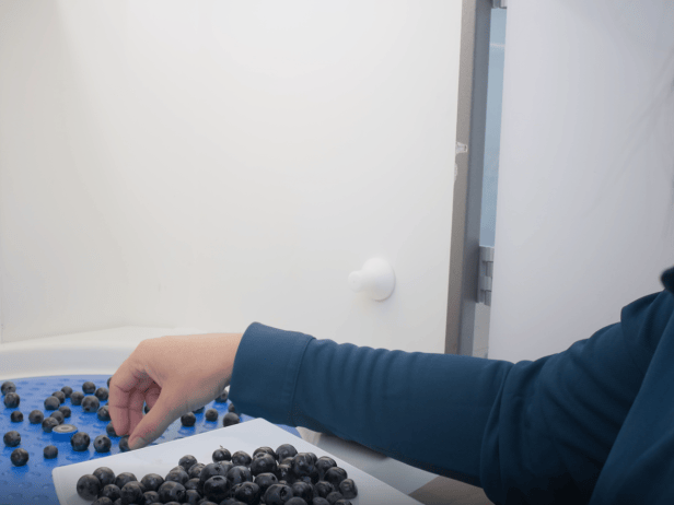 Formación maduración