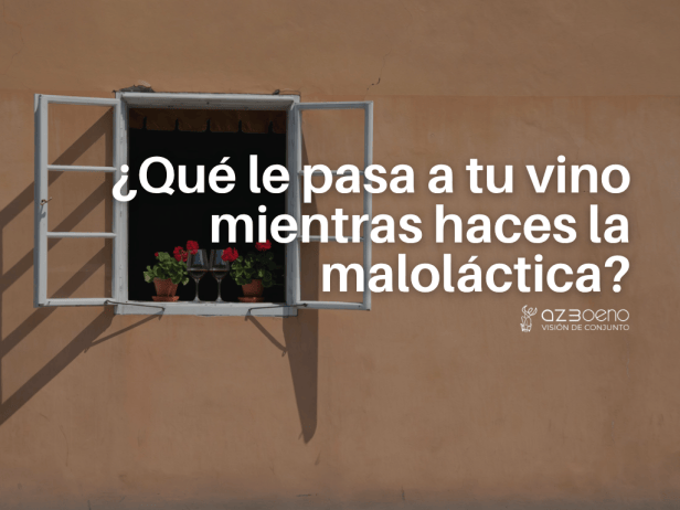 maloláctica