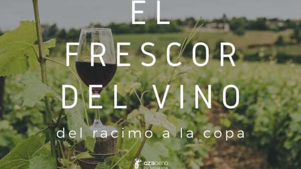 El frescor del vino