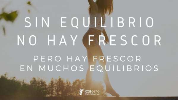 Equilibrio viñedo 