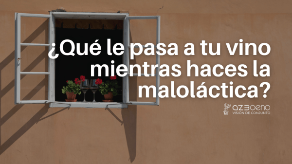 maloláctica