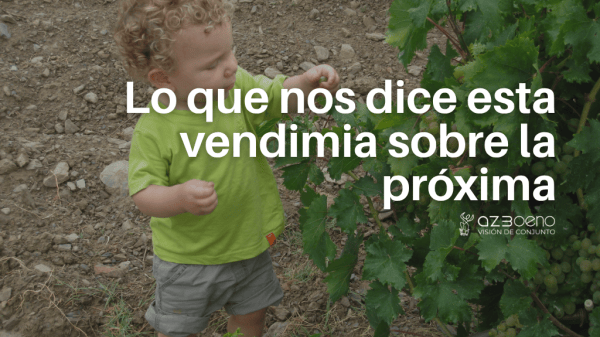 Lo que nos dice esta vendimia sobre la próxima