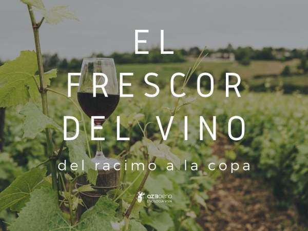 El frescor del vino