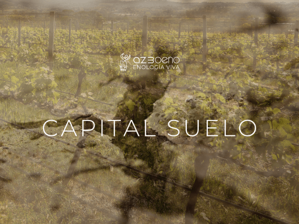 capital suelo